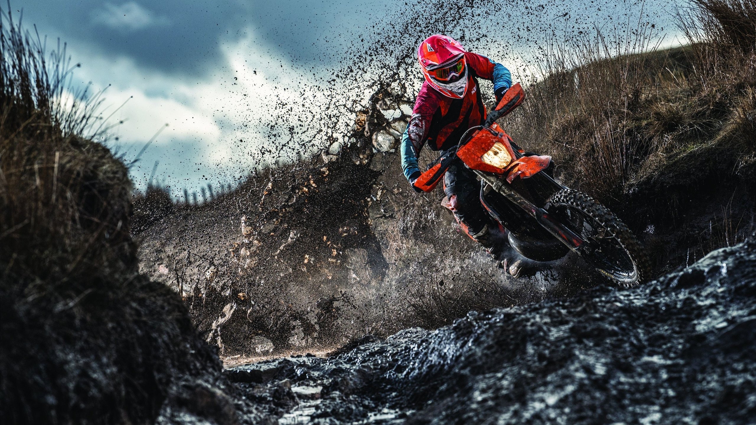 综合体育系“运动能力达标荣誉证书赛” 成绩优秀者获专属证书